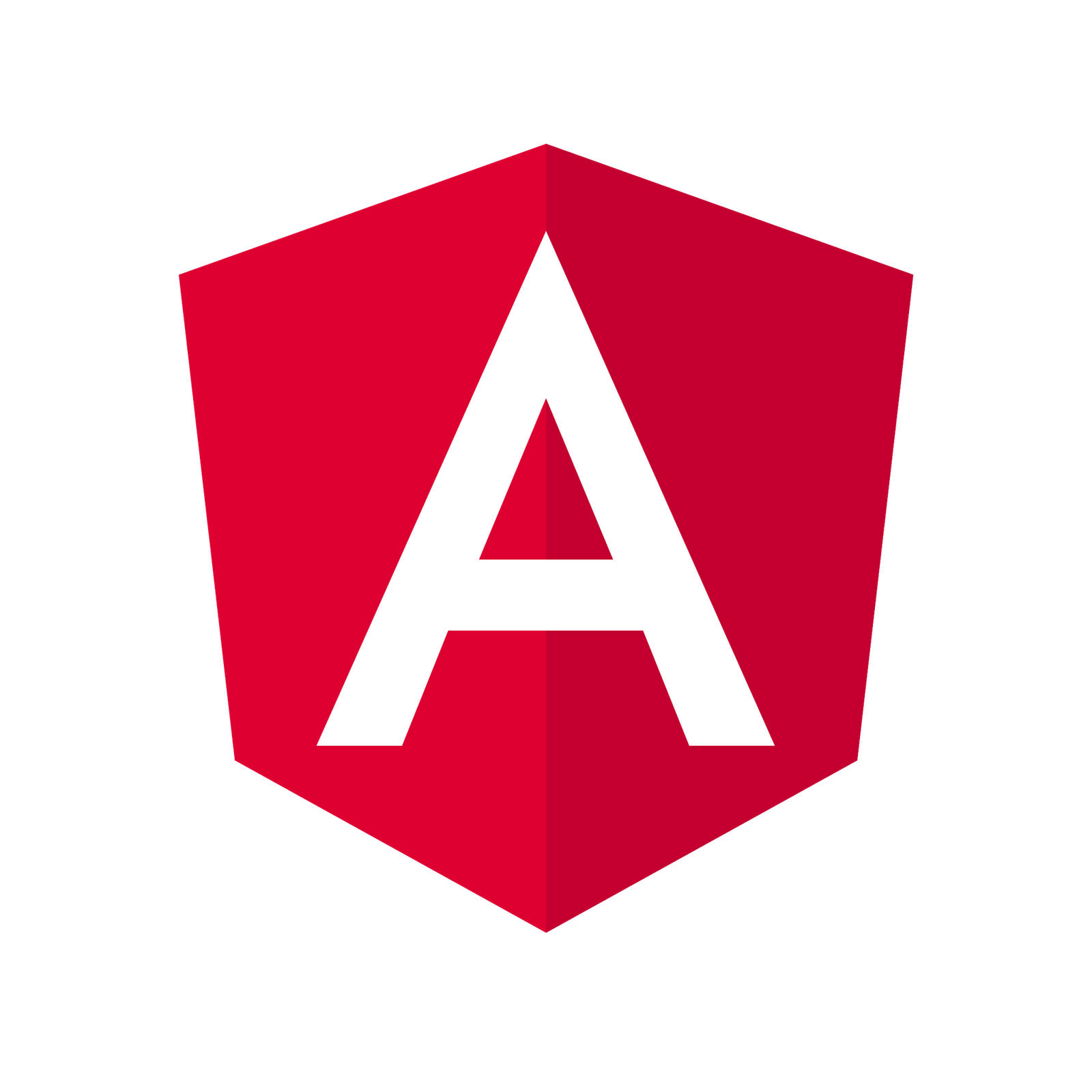 Angular JS Development services